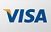 We Accept Visa Credit Cards